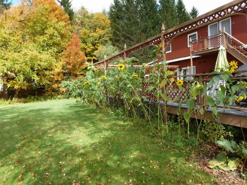 Viking Motel image 5